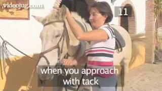 Tips For Keeping Your Horse Happy