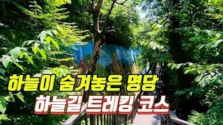  지하철역에서 1분! 33년만에 개방한 왕릉 산책길/70년만에 개방한 천장산 하늘길 트레킹 코스/대중교통 트레킹 여행