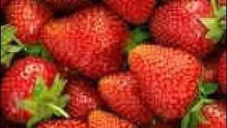 Strawberry wow amazing farm in my village (vlog bilal sandhu) gujranwala put 2