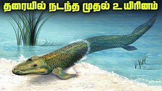 தரையில் நடந்த முதல் உயிரினம் - Tiktaalik