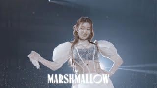 MISAMO - Marshmallow (JAPAN DOME TOUR TOUR 2024 "HAUTE COUTURE")