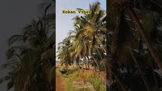 kokan vibes| Coconut tree  #cloudvibes #cloudslovers #motivation