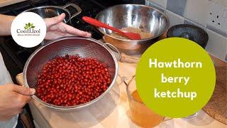 Hawthorn berry ketchup | Coed Lleol (Small Woods Wales)