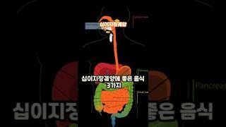 십이지장궤양에 좋은 음식 3가지