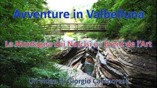 Scopriamo in camper il CANYON dei BRENT de L'ART - Veneto segreto