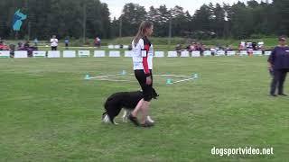 Finals – Christine Hahn + Wings of Hope Eternal Hero / Border Collie – GERMANY