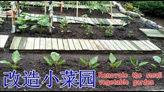 Remodeling the backyard small vegetable garden