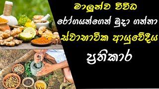 Herbal Treatments For Fish Disease [Sinhala]  FishFix SriLanka