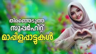 New Malayalam Mappila Album Songs | Mappilappattukal | Mappila Pattukal Malayalam Album