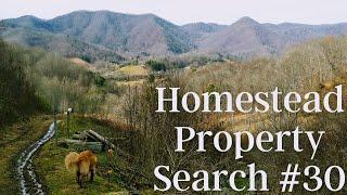 Homestead Property Search in Western North Carolina | Property Search Vlog #30