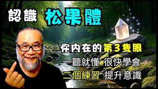 【昴宿星】認識松果體  你内在的第3隻眼  一聽就懂 很快學會  ニ個練習 提升意識  一堂40元  /  吃到飽專案報名  昴宿星光之使者與傳訊者蘇宏生，一起為您服務。