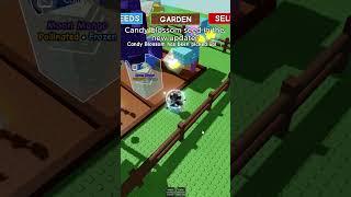 Candy blossom seed in the new update? #growagarden #roblox #edit #meme #viral #shorts