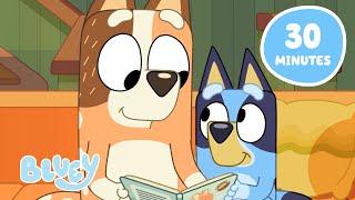 Bluey's Sleepy Dreams   | Unwind for Bedtime with Bluey  | Bluey