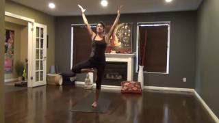 Sometimes we flow; Sometimes we fight: 30 min vinyasa flow with Becca Pati