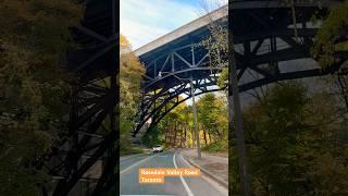 Enjoy Fall in Torontosenic drive on Rosedale Valley Rd  #fallseason #torontolife #秋色 #多伦多
