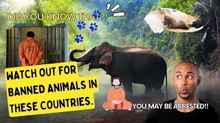 Did you know that? | Interesting animal protection laws that you should know.