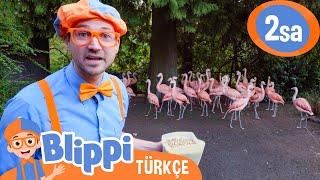 Hayvanat Bahçesinde Oyun - Blippi Hayvanları Besliyor ve Onlarla Oynuyor | Blippi Türkçe