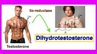 dihydrotestosterone