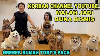 Korban Channel Youtube Anjing Malah Buka Peluang Usaha Bisnis Ditengah Perang Dagang Trumph VS China