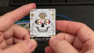 Skull of Fate SAO Demonstration | Hackaday Supercon 8