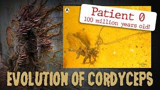 Evolution of Cordyceps