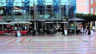 Devon & Somerset Wing in Princesshay Shopping Centre