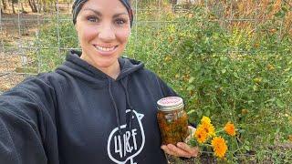 Calendula: From Seed, To Flower, To Salve. 