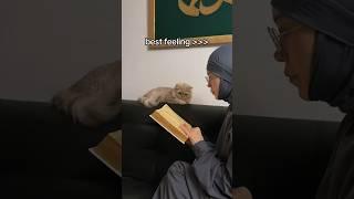 Muslim cat listening Quran