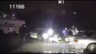 Un ciervo atropellado revive en el maletero de un automovil