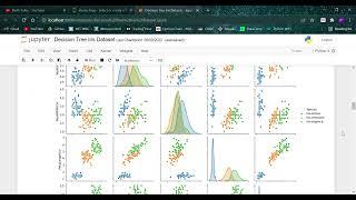 Decision Tree Iris Dataset