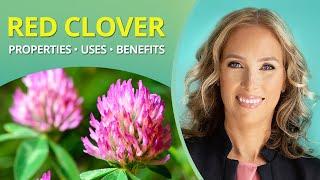 Red Clover:  Benefits, Uses, Properties | Dr. J9 Live