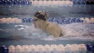 Texas Swimming and Diving 2016 Intro Video