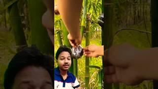 Trick bamboo farming  #satisfying #nature #bamboo #prajapati #tech #farming #educational #diy