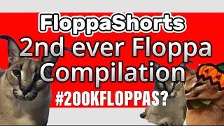 FloppaShorts Second ever Floppa Compilation! #200kfloppas?