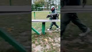 Голубой АМСтафф | Stafy. Страшно, но надо)
