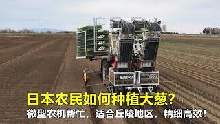 日本农民如何种植大葱？微型农机来帮忙，适合丘陵地区，精细高效！How do Japanese farmers grow green onions?