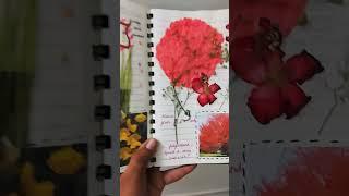 Nature Diaries/nature journal #journal #scrapbooking #junkjournal #flowers #creative #shorts #art