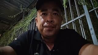 Minh Nguyễn 1986 đang phát trực tiếp!