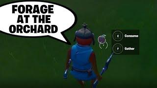 Fortnite Challenge: Gather or Consume Foraged Items at the Orchard