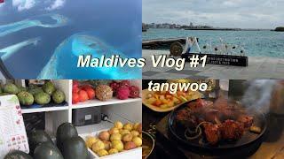 Maldives Vlog 신혼여행 #1 | 마푸시섬