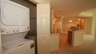 2 Bedroom Apartment for Rent in Saint Augustine, FL