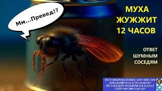 488. Ответ шумным соседям. Муха жужжит. Интервалы от 30 секунд до минуты.