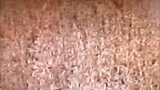 Miscellaneous TV Footage