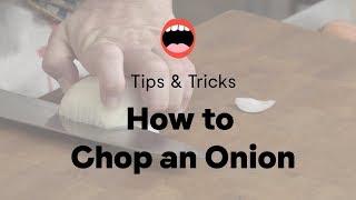 How to Chop an Onion | Chef Daniel Holzman | Project Foodie