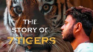 THE STORY OF 7 TIGERS | SANJAY DUBRI TIGER RESERVE | PENCH TIGER RESERVE | STORY OF MAUSI MAA