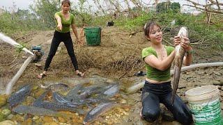 Fishing Techniques - How to Fishing From Puddles, Use Motors to Suck Water, Harvest Many Big Fish.