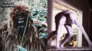 The Best New Cryptid Creature Footage *REAL EVIDENCE*