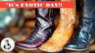 It’s Exotic Day today, Alligator(Belly)Lucchese, Ostrich TonyLama and hornback gator no name boots.