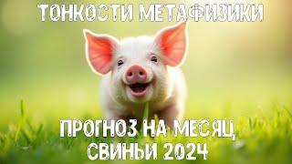 Прогноз по Ба Цзы на месяц Свиньи 2024 для каждого Элемента Личности