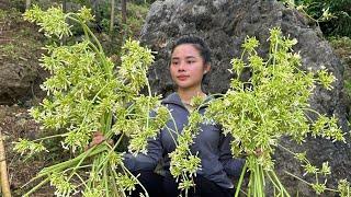 120 days of harvesting big bamboo shoots, eggplants, mosquito nets, and guavas to sell at the market